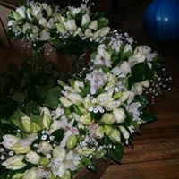 F10.jpg (12359 bytes)