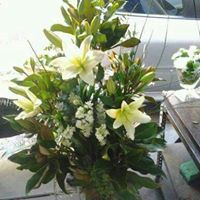 F11.jpg (12910 bytes)