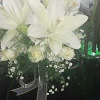 F14.jpg (9689 bytes)