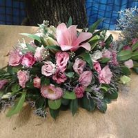 F16.jpg (13240 bytes)