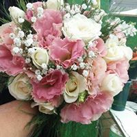 F17.jpg (13656 bytes)