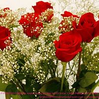 F18.jpg (16395 bytes)