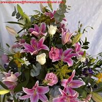 F20.jpg (14759 bytes)