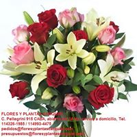 F21.jpg (13345 bytes)