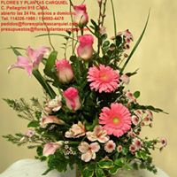 F24.jpg (13259 bytes)