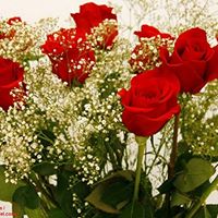 F26.jpg (16345 bytes)