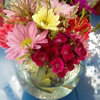 F27.jpg (13499 bytes)