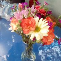 F28.jpg (11947 bytes)