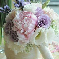 F29.jpg (11280 bytes)