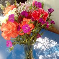 F31.jpg (13614 bytes)