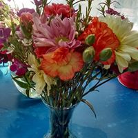 F33.jpg (12579 bytes)