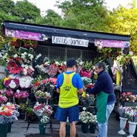 LOCAL.jpg (16793 bytes)