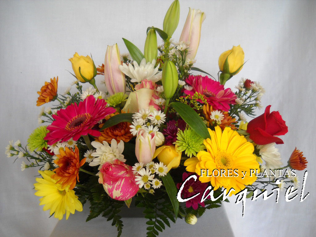 Flores y Plantas Carquiel
