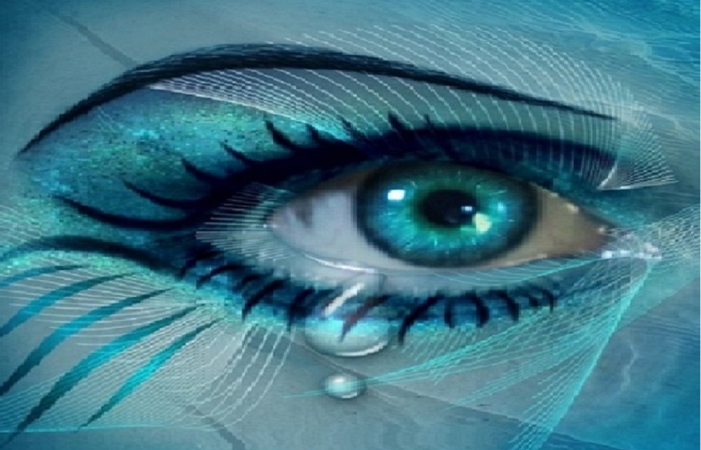 ojo7.jpg (172624 bytes)