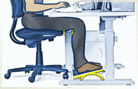 Ergo7.gif (65138 bytes)