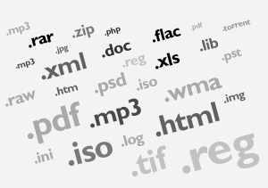 extens.jpg (17072 bytes)